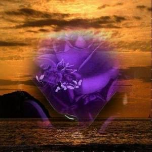 Meet your Posher, Joann